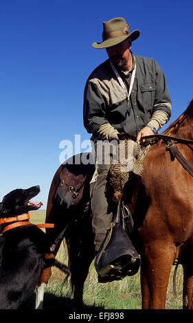 Chasseur à cheval avec une poule des prairies et son chien de chasse Banque D'Images