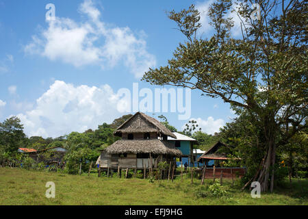 Maisons dans le Village indien de Ngobe Bugle Salt Creek, près de Bocas del Toro, PANAMA. Salt Creek (en espagnol : Quebrada Sal) est un ng Banque D'Images