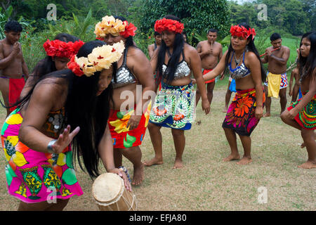 De la musique et de la danse dans le village des Indiens autochtones Embera tribu, Village, au Panama. Panama peuple Embera Indian Village Banque D'Images