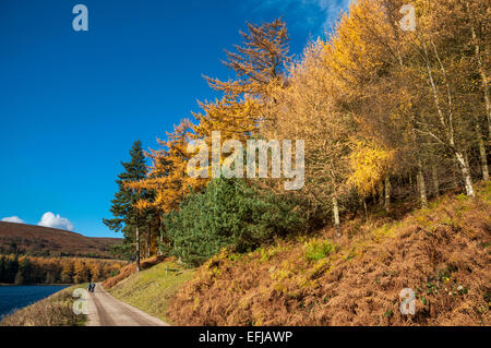 À côté de la partie supérieure du réservoir Derwent sur une journée ensoleillée d'automne. Deux marcheurs sur la route. Banque D'Images