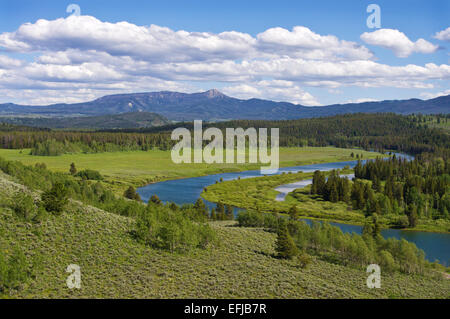 Coude de la rivière Snake, Parc National de Grand Teton, Wyoming. Banque D'Images