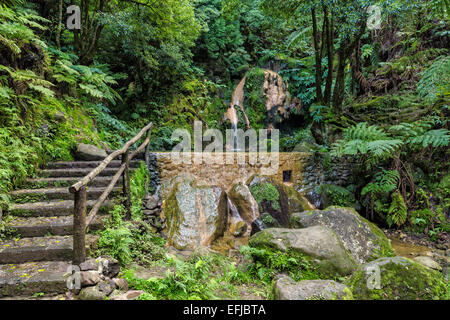 Piscine Hot-Spring en forêt tropicale, Caldeira Velha Açores Banque D'Images