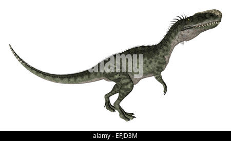 Numérique 3D render of a curious Monolophosaurus dinosaure à bas isolé sur fond blanc Banque D'Images