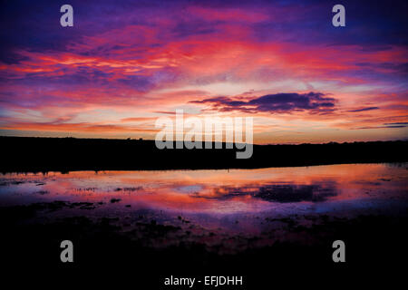 Feu magnifique coucher de soleil sur la New Forest, Hampshire Banque D'Images