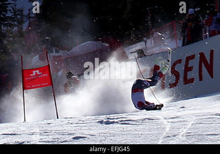 Beaver Creek, Colorado, USA. 5 Février, 2015. Bode Miller des USA se bloque pendant le Men's Super-G au ski alpin Championnats du monde à Vail - Beaver Creek, Colorado, USA, 05 février 2015. Dpa : Crédit photo alliance/Alamy Live News Banque D'Images