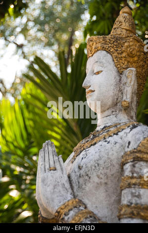 Vue verticale d'un Bouddha en pierre traditionnelle en position de prière au Wat Chiang Mun en Thaïlande Banque D'Images