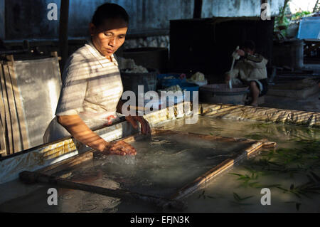 Portrait d'un horizontal dame Lao locale faisant Washi, papier sa main ou au Laos. Banque D'Images