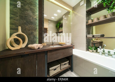 Salle de bains moderne décorée dans un style écologique avec des meubles et des plantes vertes Banque D'Images