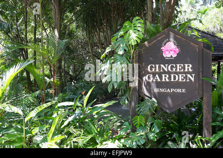 Les Jardins botaniques de Singapour. Jardin de gingembre. Banque D'Images