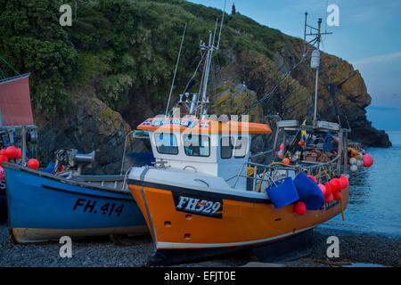 Bateaux de pêche échoués à marée basse le soir à Cadgwith Cove, Cornwall, England, UK Banque D'Images