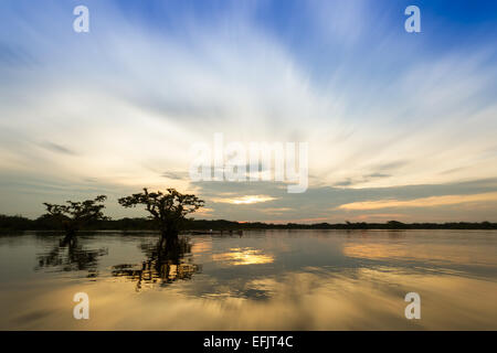 Une scène de coucher de soleil sereine sur un plan d'eau calme, avec le soleil bas à l'horizon projetant des reflets dorés sur toute la surface. Silhouettes de deux arbres partiellement submergés dans le stand d'eau Banque D'Images