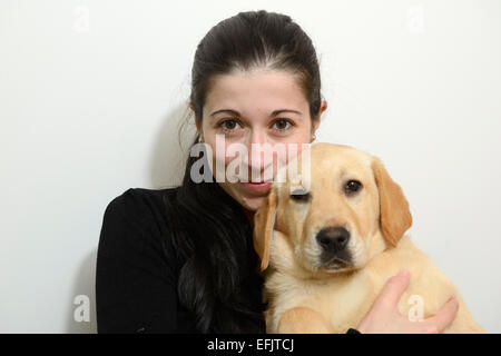 Woman holding yellow Labrador Golden Retriever chiot mix Banque D'Images