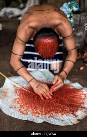 SANTO DOMINGO, l'Équateur, le 26 janvier 2015 : Indian man (Los Colorados Tsáchila) tribu dans les peintures vêtements usine de jus de cheveux Banque D'Images