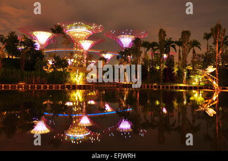 Reflet de Super Arbre de jardin près de la baie, à Singapour Banque D'Images