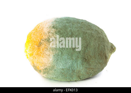 Libre d'agrumes citron moisi vert isolé sur blanc. L'alimentation endommagé. Banque D'Images