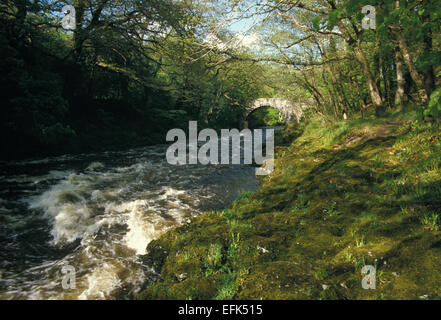 Holne Pont sur la B3357 sur la rivière Dart Angleterre Devon Dartmoor Banque D'Images