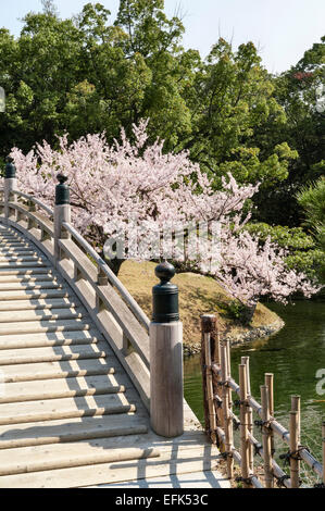 Jardin Ritsurin-koen, Takamatsu, Japon. Le Croissant de lune (Pont Engetsu-kyo) au début du printemps, avec un cerisier en fleurs Banque D'Images