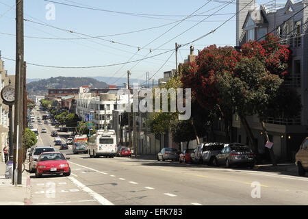 Vue sur le ciel bleu, à l'est de Hyde Street, deux trolleybus, des voitures en stationnement, floraison rouge Gum Tree, North Point, San Francisco Banque D'Images