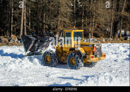 Dépose de la neige avec de gros bulldozer Banque D'Images