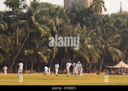 L'Inde, Mumbai, Maharashtra, district de Colaba, Maidan, ovale et tour de l'horloge Rujabi Banque D'Images