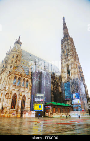 Vienne - 21 octobre : la cathédrale Saint-Étienne (Stephansdom) le 21 octobre 2014 à Vienne, Autriche. Banque D'Images