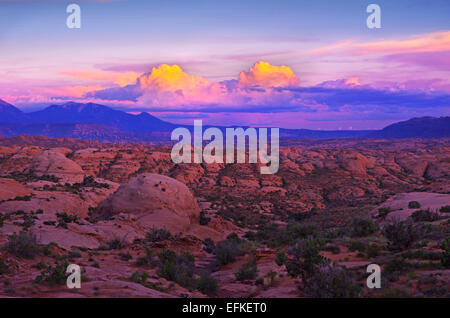 Vue sur dunes pétrifiées, dans Arches National Park, dans la lumière du soir. Banque D'Images