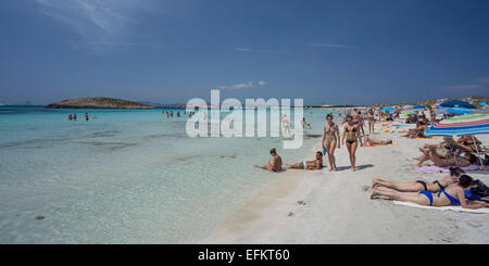 La plage de Ses Illetes, beach, Ibiza, Iles Baléares, Espagne Banque D'Images