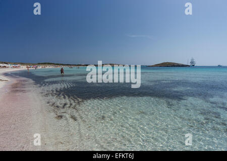 La plage de Ses Illetes, beach, Ibiza, Iles Baléares, Espagne Banque D'Images