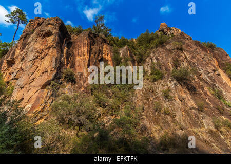 Gorges de Pennafort, Callas Draguignan, Var France 83 Banque D'Images