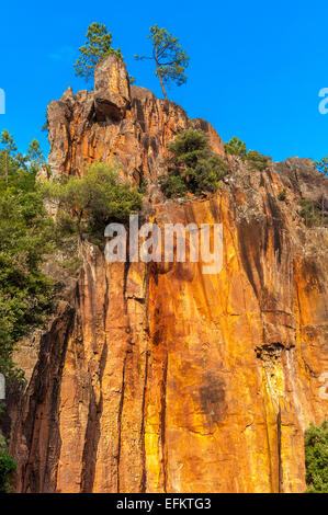 Gorges de Pennafort, Callas Draguignan, Var France 83 Banque D'Images