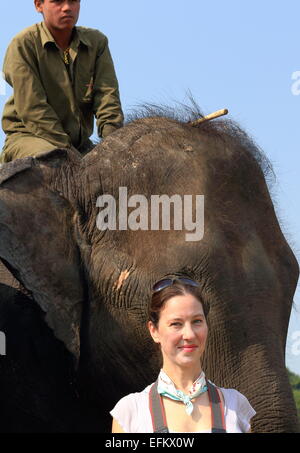 CHITWAN, NÉPAL - 14 OCTOBRE : éléphants indiens -Elephas maximus indicus- transport de touristes en safari à l'aube-parc de Chitwan. Banque D'Images