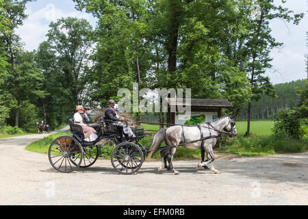 La concurrence pour les voitures traditionnelles Iternational 'La Venaria Reale', parc régional de la Mandria,Turin, le Piémont, Italie Banque D'Images