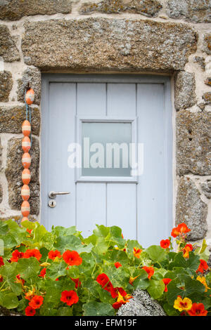 Fleurs de capucines à l'avant porte de maison en pierre, Penzance, Cornwall, uk Banque D'Images