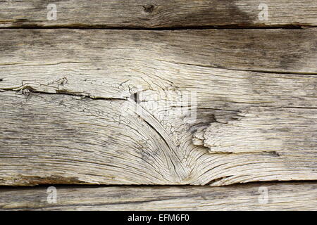 Vrai chêne weathered wood texture, patinées par le temps de l'exposition aux éléments Banque D'Images