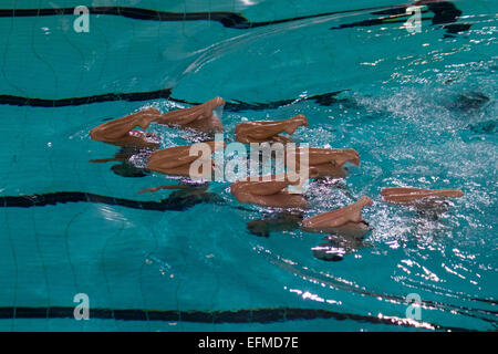 La suppression des équipes de Championnats italiens hiver natation synchronisée. Cet événement s'inscrit dans le cadre de Torino 2015, Capitale Européenne du Sport. © Elena Aquila/Pacific Press/Alamy Live News Banque D'Images