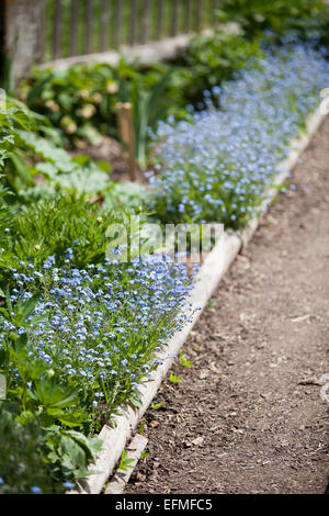 Chemin dans jardin avec parterres Banque D'Images