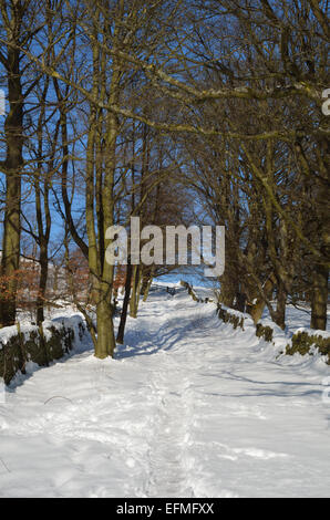 Chemin à travers des arbres couverts de neige, l'hiver. Redmires, Sheffield, South Yorkshire, Royaume-Uni, Europe Banque D'Images