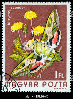 Hongrie - circa 1974 : timbre imprimé en Hongrie montre butterfly Hummingbird Hawk-moth Macroglossum stellatarum -, vers 1974 Banque D'Images