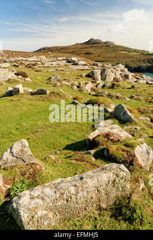 St Davids Head, Pembrokeshire, Pays de Galles comprend des plages, falaises, vestiges de l'âge du fer, contreventement promenades et randonnées et hardy la faune. Banque D'Images