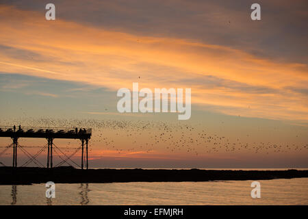 Aberystwyth, Ceredigion, pays de Galles, Royaume-Uni. 7 Février, 2015. Météo britannique. Un magnifique coucher de soleil met fin à une journée chaude à Aberystwyth, sur la baie de Cardigan. Les spectateurs se rassemblent sur le quai pour voir le coucher du soleil comme les étourneaux arrivent au perchoir. Credit : atgof.co/Alamy Live News Banque D'Images