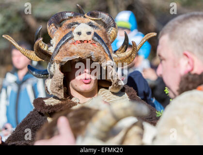 Pernik, Bulgarie - 31 janvier 2015 : les participants participent au Festival International des Jeux de mascarade Surva. L Banque D'Images