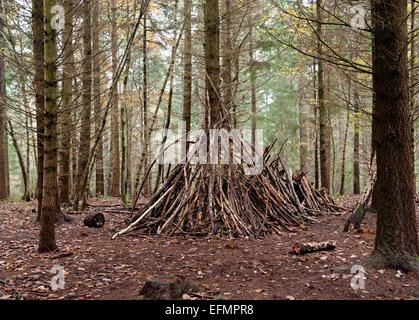 Arbres de la forêt de Wyre sud avec un den cacher maison faite de bois et de fougères Banque D'Images