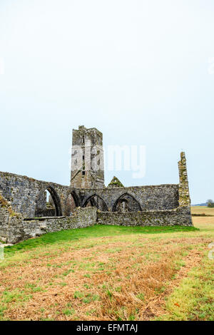 KILCREA, IRLANDE - 28 novembre : Kilcrea Kilcrea médiévale Friary (Abbaye) situé près de ondes le 28 novembre 2012 dans le comté de Cork, Banque D'Images