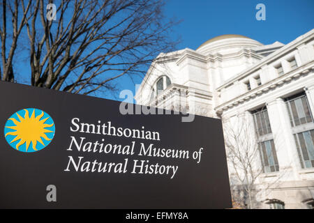 Smithsonian National Museum of Natural History Washington DC // WASHINGTON DC — le Smithsonian National Museum of Natural History se dresse bien en vue sur le National Mall à Washington DC, avec son dôme vert distinctif et son architecture néoclassique visibles derrière le panneau d'entrée principal. Créé en 1910, le musée abrite l'une des plus grandes collections d'histoire naturelle au monde avec plus de 146 millions de spécimens et d'objets. L'institution fait partie du complexe Smithsonian, le système national de musées de l'Amérique, et offre l'entrée gratuite aux visiteurs toute l'année. Situé entre le Washingt Banque D'Images