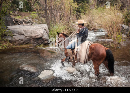 Cowboy chiliens (arriero) chevauche son cheval à travers une rivière dans la région de El Toyo Cajon del Maipo, Chili, Amérique du Sud Banque D'Images