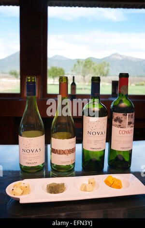 Vin et fromage le couplage sur Emiliana vignoble organique dans la vallée de Casablanca, Chili, Amérique du Sud Banque D'Images