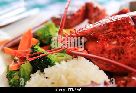 Un homard cuit sur une assiette de légumes. Banque D'Images