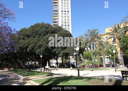 (Esplanade bordée d'Explanada de España) dans le centre d'Alicante, Valence, Province de l'Espagne. Banque D'Images