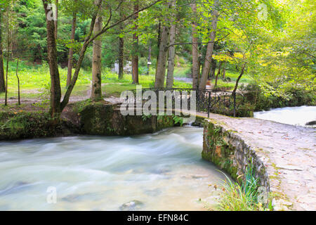 Psyrtskha river, New Athos, Abkhazie, Géorgie Banque D'Images