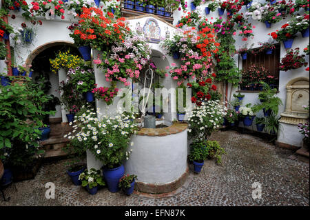 Cour intérieure pendant le Festival des patios (el Festival de Los Patios Cordobeses), Cordoue, Espagne Banque D'Images